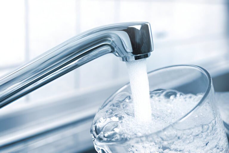 Can I Use Tap Water for Plants in USA? Complete Guidance