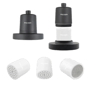 Rain Shower Filter Cartridge